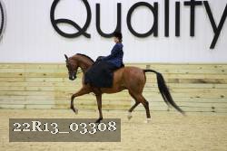 22R13_03308 thumbnail