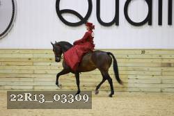 22R13_03309 thumbnail