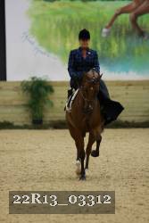 22R13_03312 thumbnail