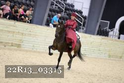 22R13_03315 thumbnail