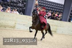 22R13_03316 thumbnail