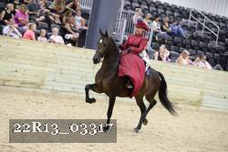 22R13_03317 thumbnail
