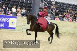 22R13_03318 thumbnail