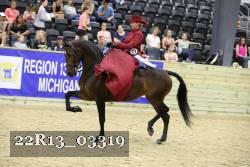 22R13_03319 thumbnail