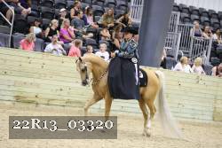 22R13_03320 thumbnail