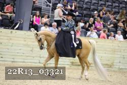 22R13_03321 thumbnail