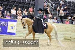 22R13_03322 thumbnail
