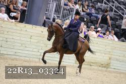 22R13_03324 thumbnail