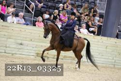 22R13_03325 thumbnail