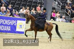 22R13_03326 thumbnail