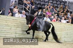 22R13_03329 thumbnail