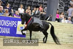 22R13_03330 thumbnail