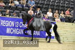 22R13_03331 thumbnail