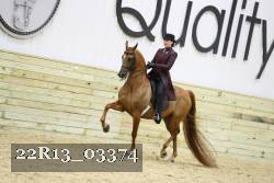 22R13_03374 thumbnail