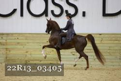 22R13_03405 thumbnail