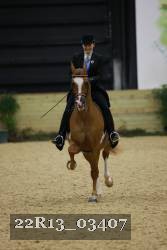 22R13_03407 thumbnail