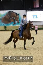 22R13_03412 thumbnail
