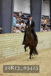 22R13_03415 thumbnail