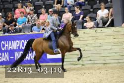 22R13_03419 thumbnail