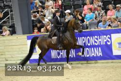 22R13_03420 thumbnail