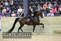 22R13_03421 thumbnail