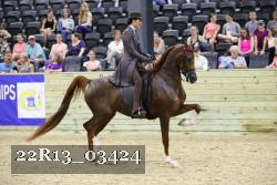 22R13_03424 thumbnail