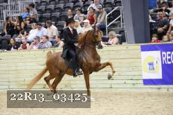 22R13_03425 thumbnail