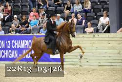22R13_03426 thumbnail