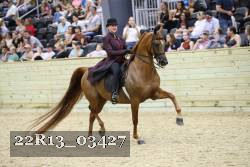22R13_03427 thumbnail