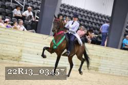 22R13_03457 thumbnail