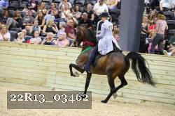 22R13_03462 thumbnail