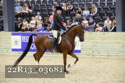 22R13_03681 thumbnail