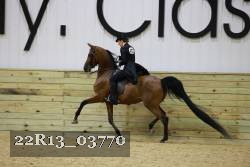 22R13_03770 thumbnail