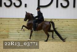 22R13_03771 thumbnail
