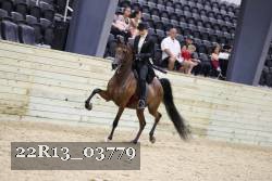 22R13_03779 thumbnail