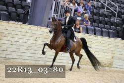 22R13_03780 thumbnail