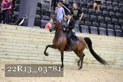 22R13_03781 thumbnail