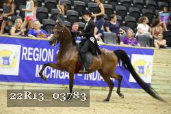 22R13_03783 thumbnail