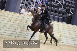 22R13_03784 thumbnail