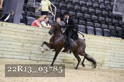 22R13_03785 thumbnail