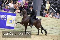 22R13_03786 thumbnail