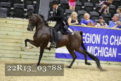 22R13_03788 thumbnail