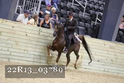 22R13_03789 thumbnail