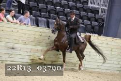22R13_03790 thumbnail