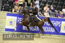22R13_03792 thumbnail