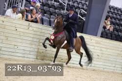 22R13_03793 thumbnail
