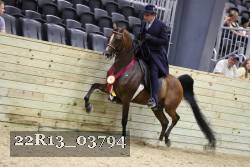 22R13_03794 thumbnail