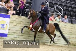 22R13_03795 thumbnail