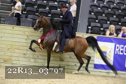 22R13_03797 thumbnail