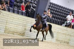22R13_03798 thumbnail